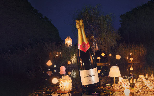 Codorníu Cava outside