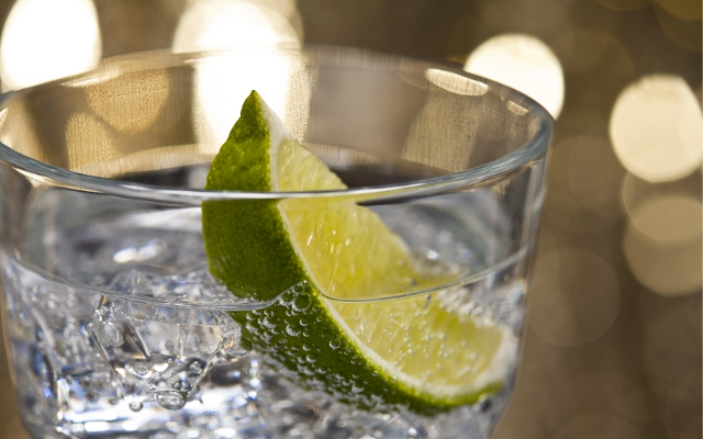 gin and tonic with a wedge of lime