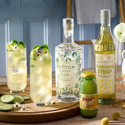 Cotton garden gin