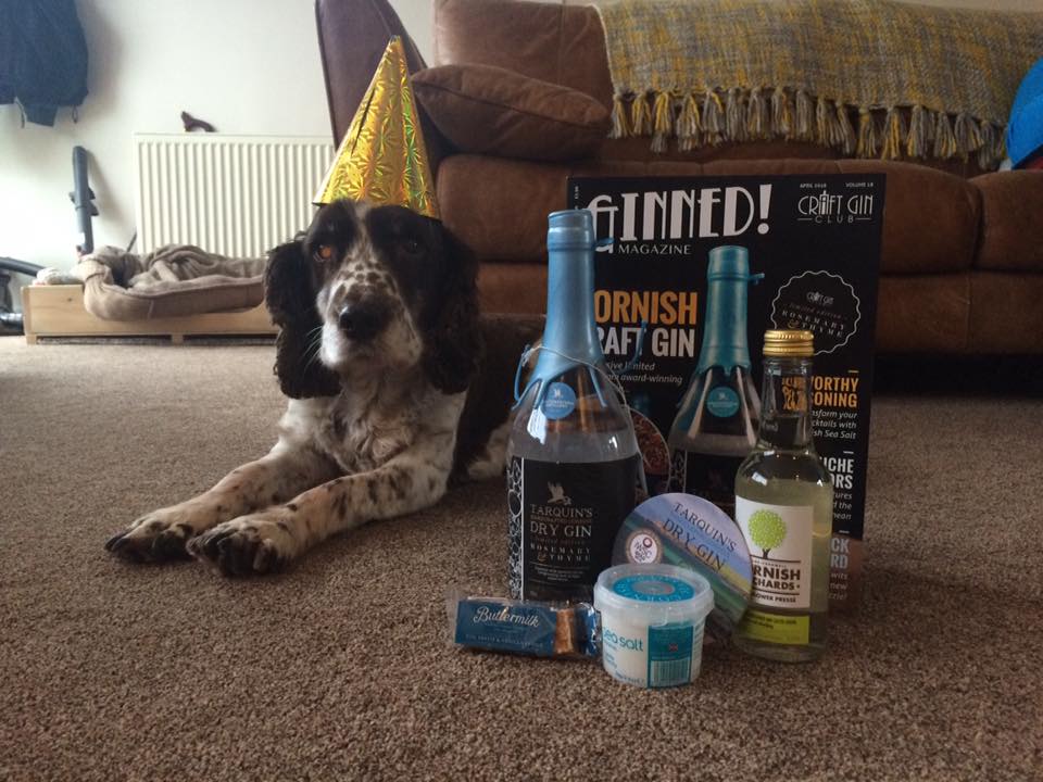 tarquin's ginstagram gin cornwall