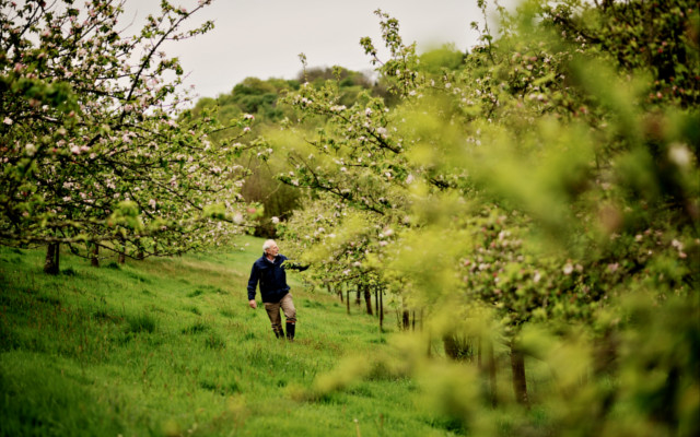 orchard cornwall