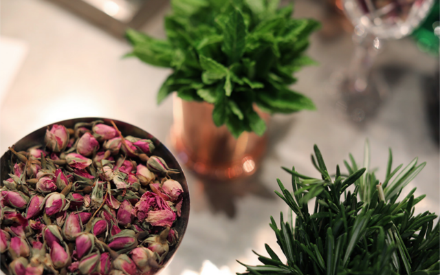 Marylebone Gin botanicals of rosemary basil and hibiscus