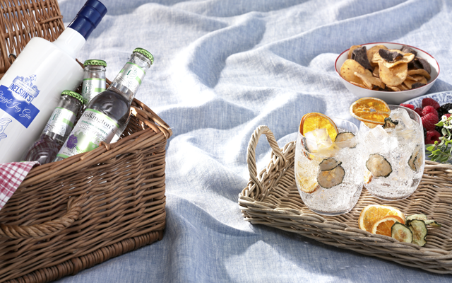 nelsons+gin+and+folkingtons+gin+and+tonic.png