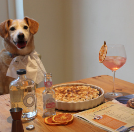 craft+gin+dog+2.jpg