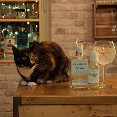 November’s purr-fect prize-winning Ginstagram entry from member, Benjamin!