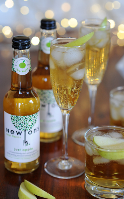Newton's appl fizzics Gin Fizz cocktail