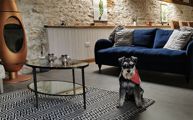 Mr Mackintosh in the distillery's tasting room