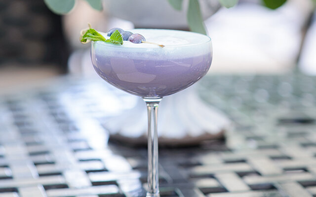Blueberry Sour 2 SQ.jpg