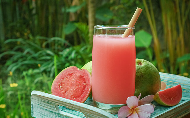 guava flamingo.jpg