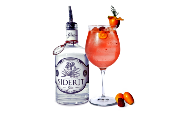 Raspberry Siderit Gin and Tonic