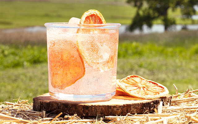 craft-gin-club-perfect-gin-tonic-july-2019.jpeg