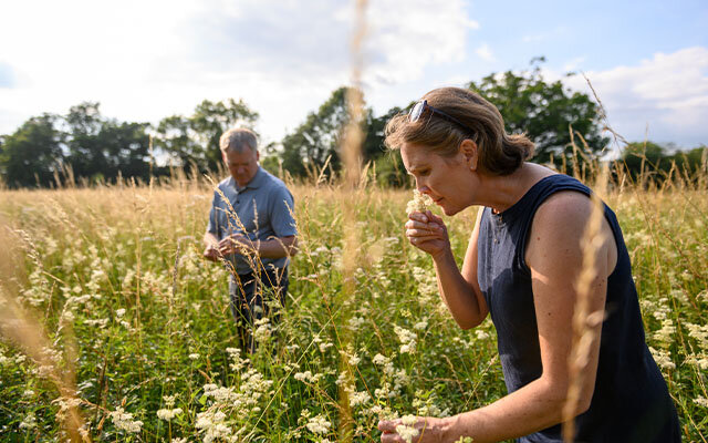Sarah and Jon searching for botanicals
