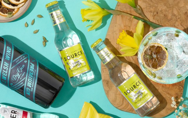 Llanllyr Source Tonic Water