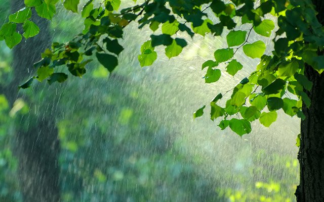 rains