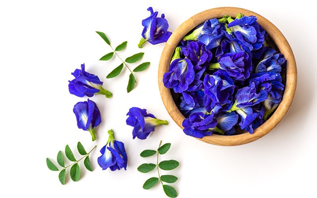 butterfly pea flower petals