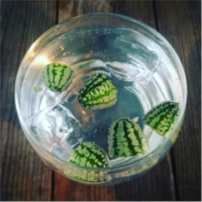 G&T mini watermelon garnish cucamelon