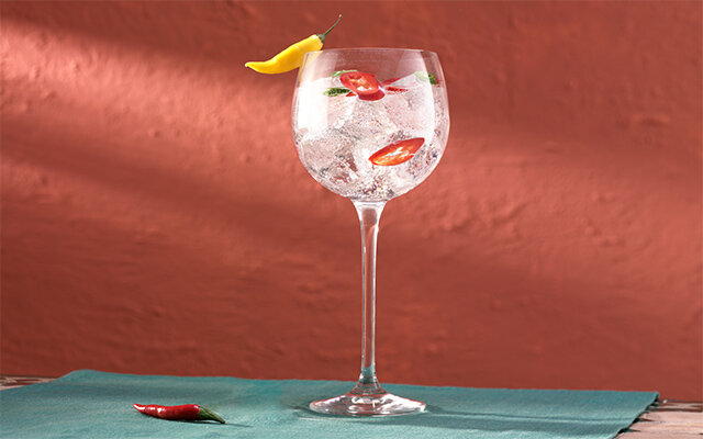 Chilli, Coriander and Lime Gin Tonic