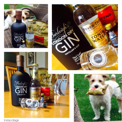 burleighs gin