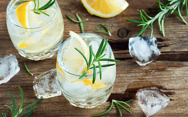 Herbal G&T recipe