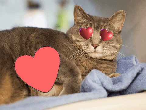 hearteyes.gif