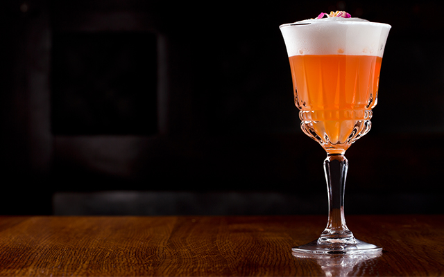Sloe Gin Fizz cocktail recipe