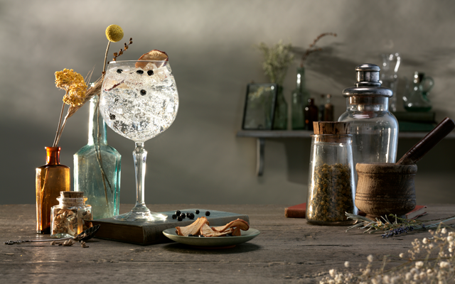 wessex+gin+perfect+serve.png