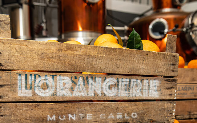 Oranges ready to made into gin!