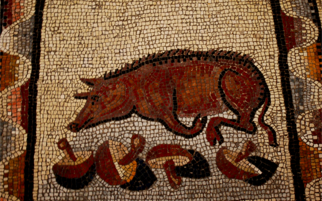 patatas warthog mosaic