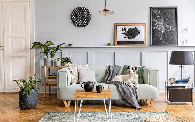 Living room.jpg