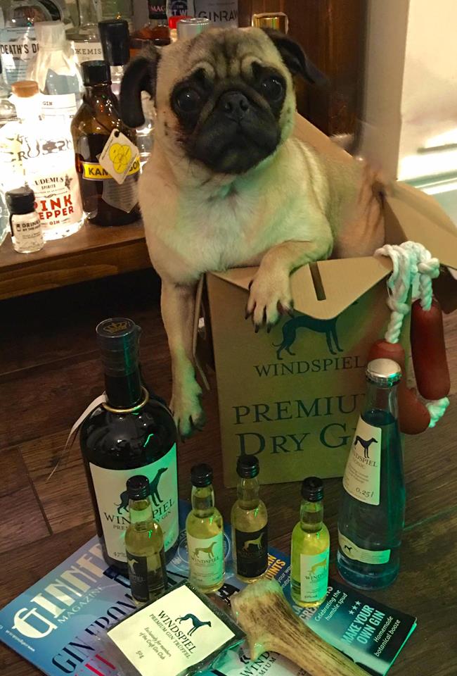 windspiel gin and tonic set dog pug