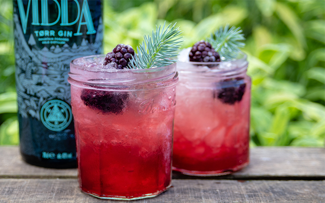 gin+bramble+cocktail.png