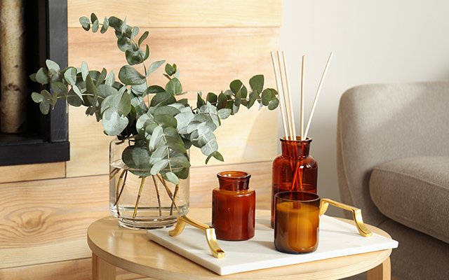 Reed Diffuser