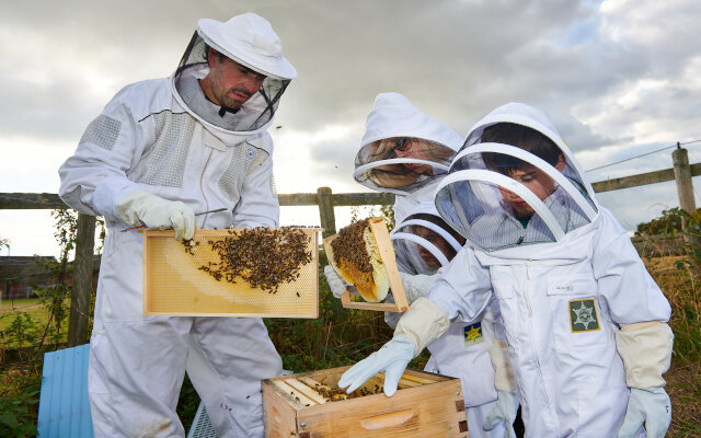 Bee keepers