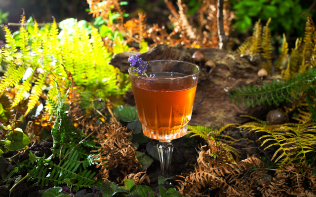 the martinez gin cocktail