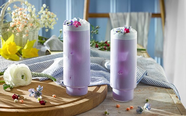 butterfly pea flower gin