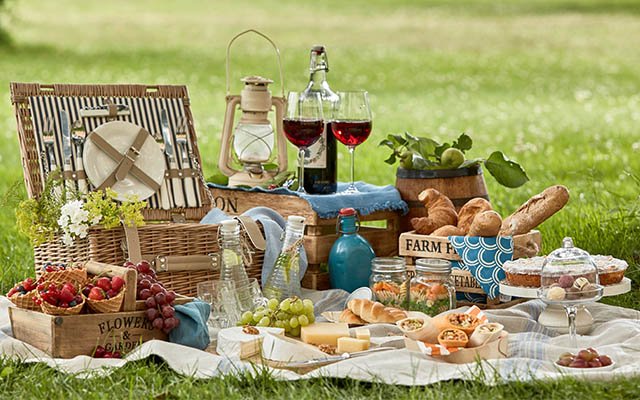 Picnic food
