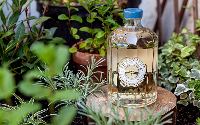 Theodore Pictish Gin from Scotland