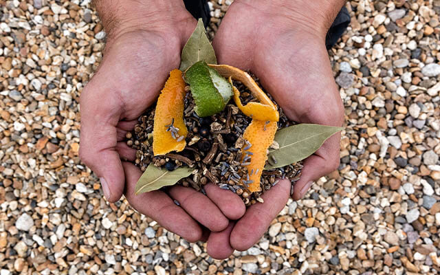 Cotswolds Dry Gin The Cloudy Christmas Gin botanicals