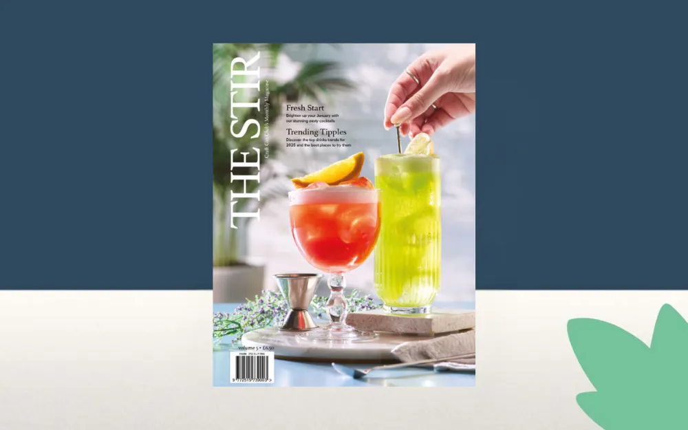 The Stir Magazine January 2025