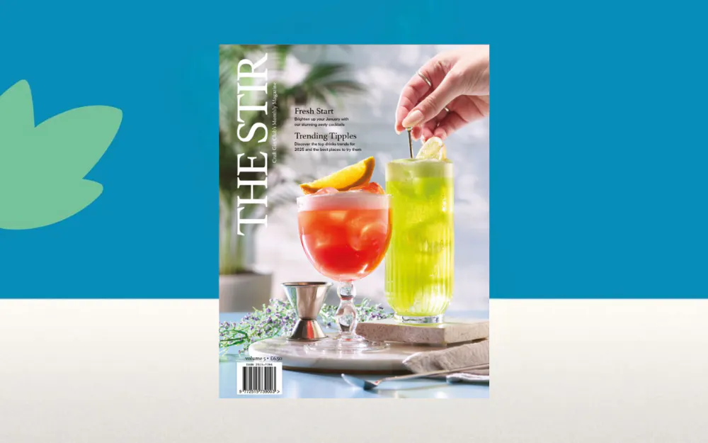 The Stir Magazine January 2025