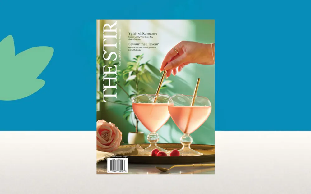 The Stir Magazine February 2025