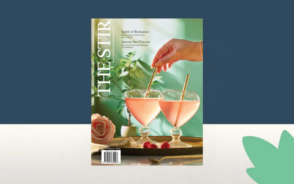 The Stir Magazine February 2025