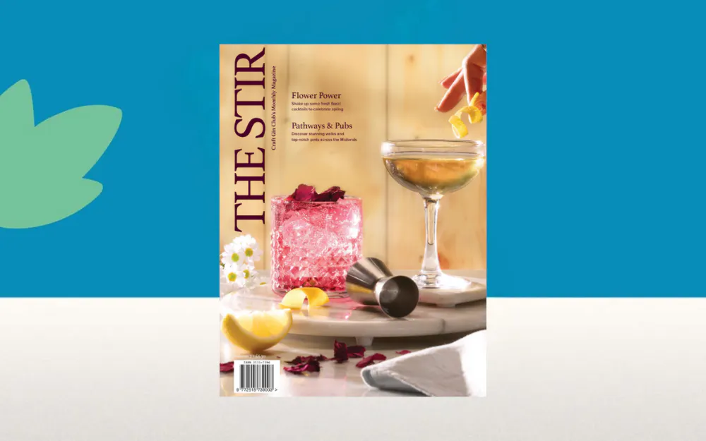 The Stir Magazine March 2025