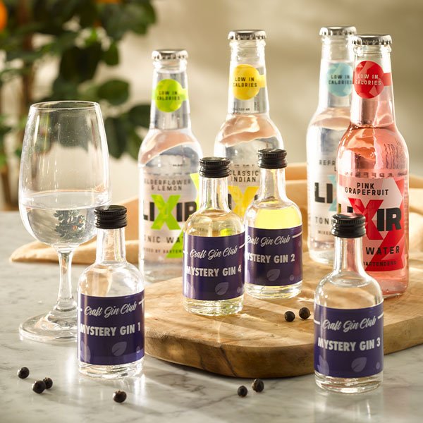 Best gin tasting experience