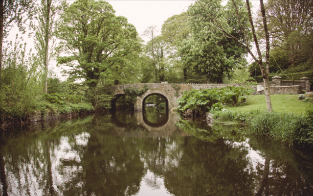 The beautiful Rademon Estate grounds.