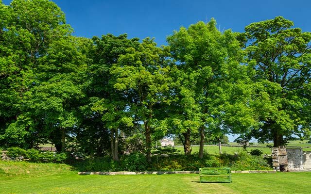 The garden at Otterbeck Distillery