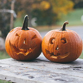 pumpkins_unsplash.png