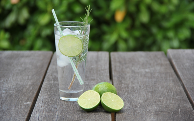 Gin and Tonic slice of lime and sprig of rosemary