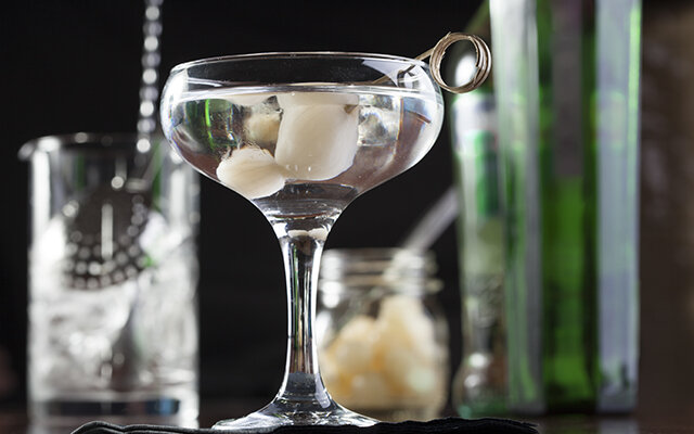 Gibson Martini.jpg