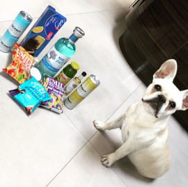 lola+dog+day.jpg
